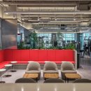 솔트스포츠 이미지