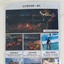 제주월정서프홀릭 이미지