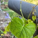 국사봉산성 | 순천 난봉산