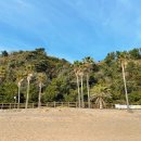 중문색달해수욕장(모래사장끝) 이미지