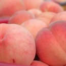 빅토리농장 이미지