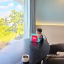 비상과학 | 비상교육 온리원 초등 가격 비교 후기