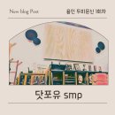 현암로 | 용인 두피문신 고민 끝! 닷포유smp 정수리 1회차 리얼 후기