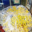 횡계의원 이미지