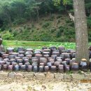 죽산농장 이미지