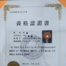 그린팬다