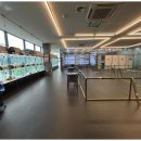 강아지와 고양이 이미지