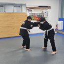 강류합기도목동도장