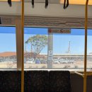 본리어린이공원 소  | 동물과 교감할 수 있는 퍼스 동물원 캐버시엠 와일드라이프 공원 뚜벅이로 다녀온 후기