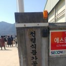 용담베리숲 이미지