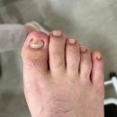 레푸스 망우점 이미지