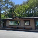 강원도 양양여행 놀거리 레포밸리 짚라인 내돈내산 후기