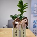 수에르조