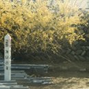 송하초등학교 이미지