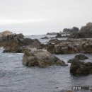 장호2리 이미지