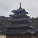 순천-55호 이미지