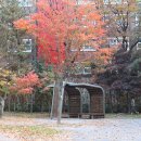 한마음어린이공원 이미지