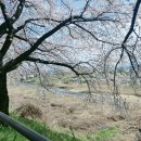 조천 산책로화장실 이미지