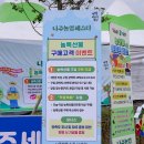 그늘막119 | 전남 10월 축제 2025 나주 영산강축제 첫날 방문후기로 보는 꿀팁