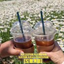 [도평커피]속초카페,속초샤스타데이지카페,속초예쁜...감성적인 야외공간, 향 좋은 커피까지 모두 만족!~