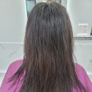 리하이헤어 네이버블로그