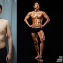 용스 이미지