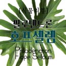 셀렘 - 여수시 미평6길 10-2 | 셀렘