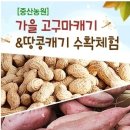 중산농원 이미지