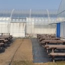 감치농장 이미지