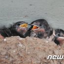 새천년종묘농약사 이미지