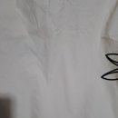 에이스세탁 이미지