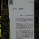 흥국사(여수 영취산)