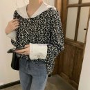 벌룬플라워 이미지