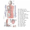 신장,방광편 水(수) 이미지