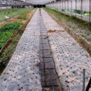 병암1리 이미지