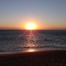 동해축산 이미지