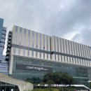 마곡나루역 맛집 순대전골은 여기! 정성순대 코엑스 마곡점 솔직 후기