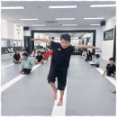 TL태권도 | 새움초태권도 아이들의 웃음과 성장을 함께하는 TL태권도 후기