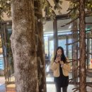 6 | 닷닷닷 v.6 후기