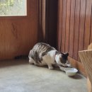 아지트카페 | [대구서문시장카페] 빈티지 감성의 끝판왕, 엔틱함이 흐르는 도심 속 아지트 '트란퀼로' 카페 후기