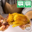 초록미소환경