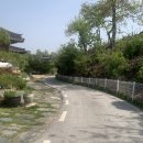 사비한옥 | [충남 부여] 사비한옥 나루방 후기