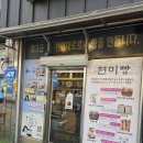 아미앙스베이커리 | 정읍 빵지순례 필수코스! 핸썸가이즈 마늘빵 & 인생 현미 무화과빵 '아미앙스' 내돈내산