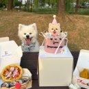 곡식이네 수제간식 이미지