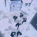 82 이미지