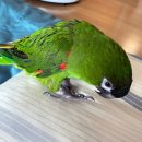 유성오토바이 이미지