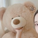 꼬마곰놀이터 이미지