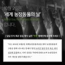 국제2농장 이미지