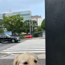 경기도 수원시 팔달구 효원로 257 (인계동) 이미지