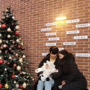 아산 탕정 카페 로발프 베이커리 카페 7개월 아기와 방문 후기(주차)